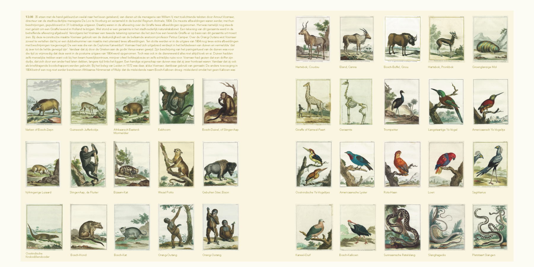 Spraakmakende personen