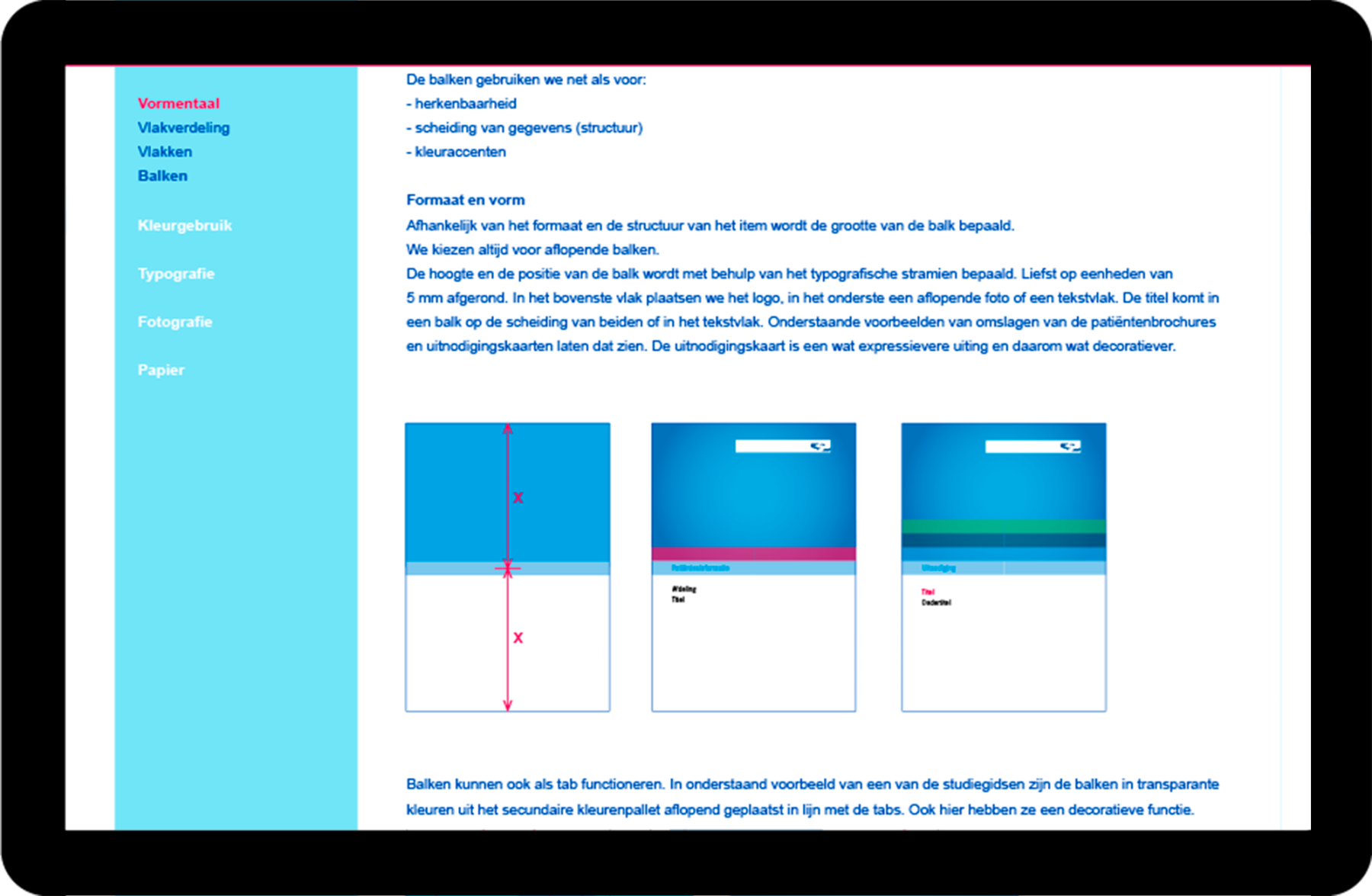 Reinier de Graaf, huisstijl, huisstijlhandleiding online