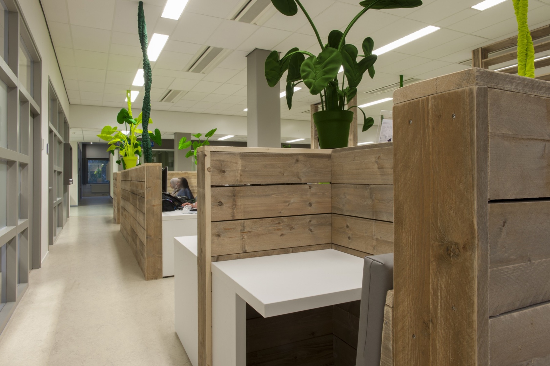 Studielandschap Hogeschool van Amsterdam