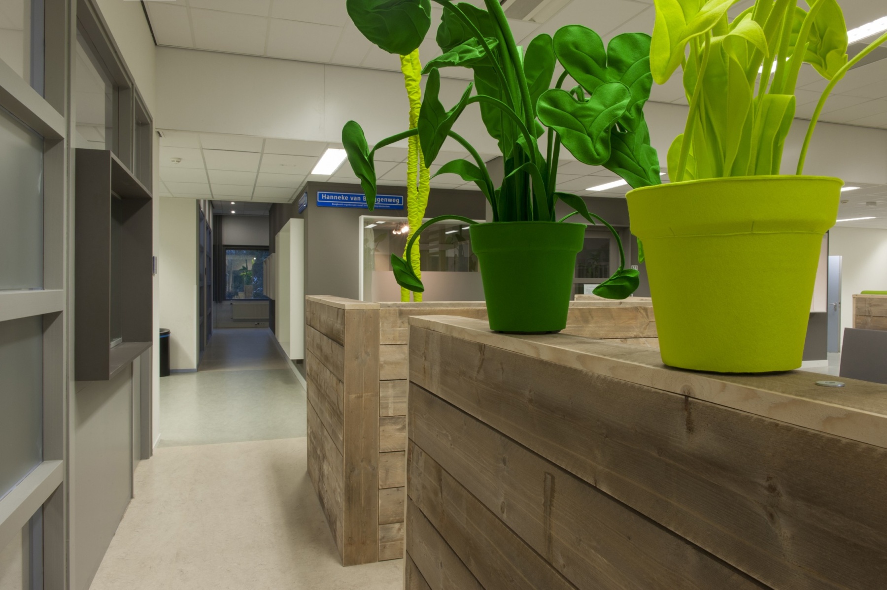 Studielandschap Hogeschool van Amsterdam