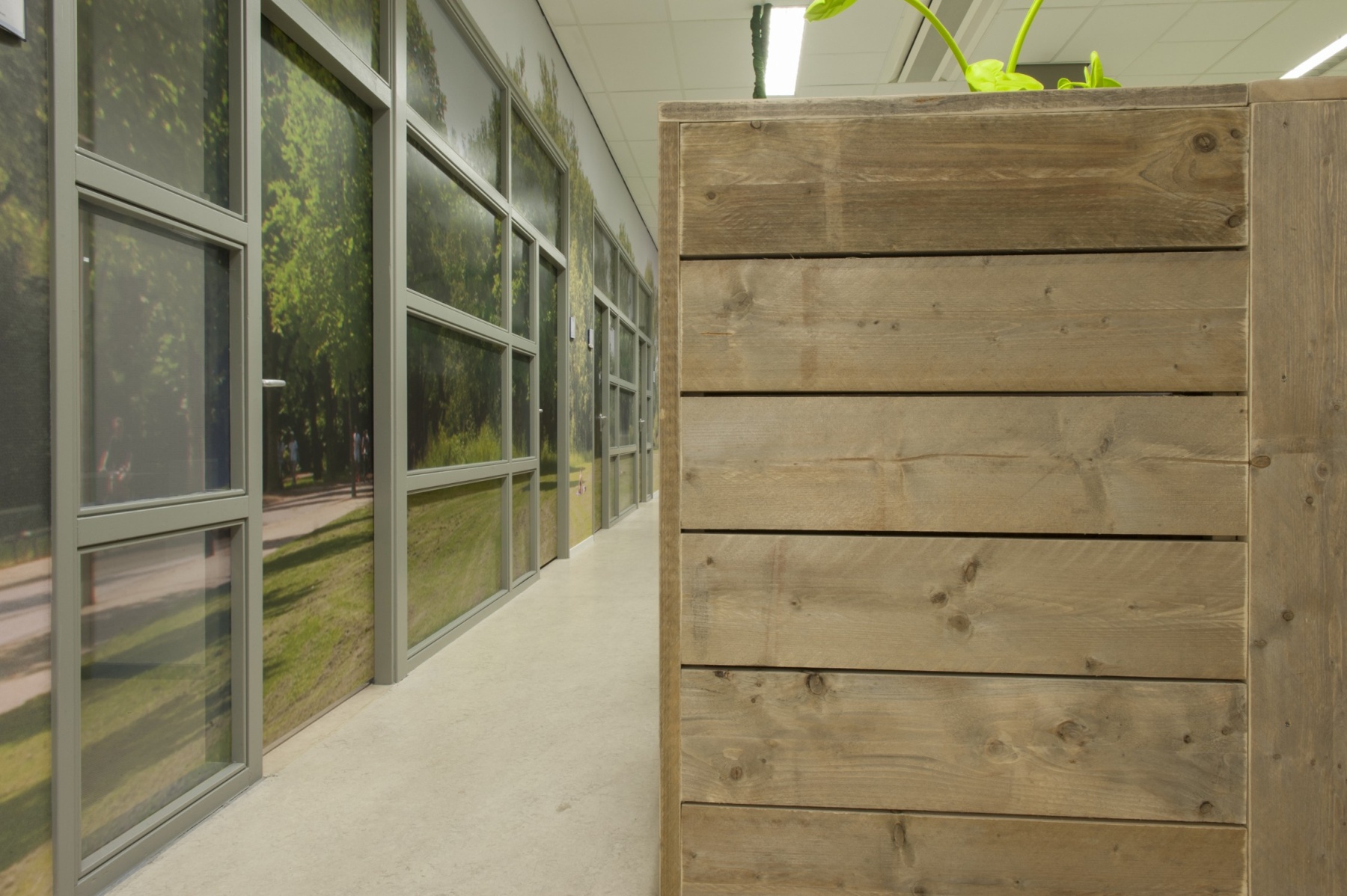 Studielandschap Hogeschool van Amsterdam