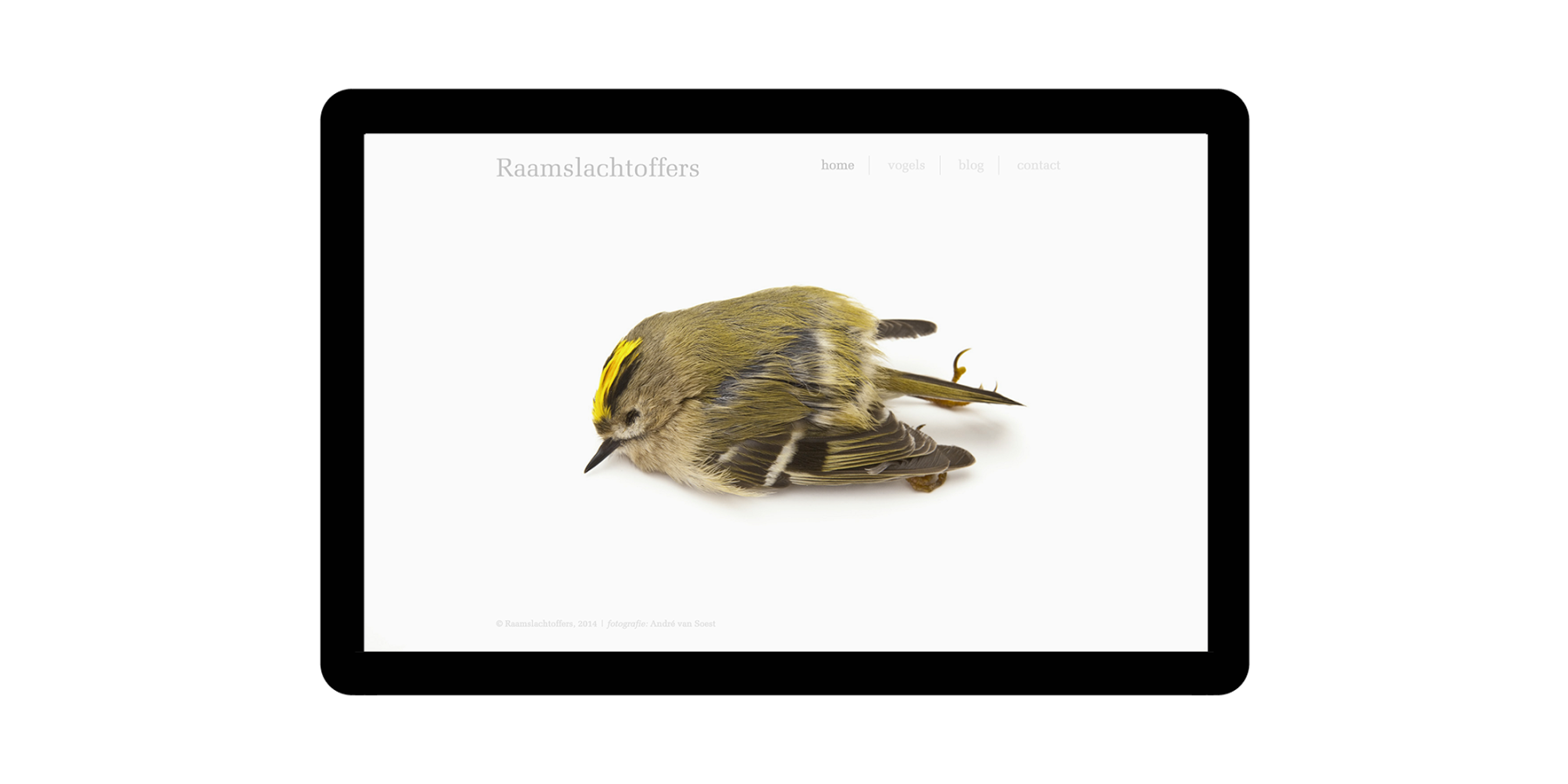 000.051_website_vrijstaand-01.png 000.051_website_vrijstaand-01.png