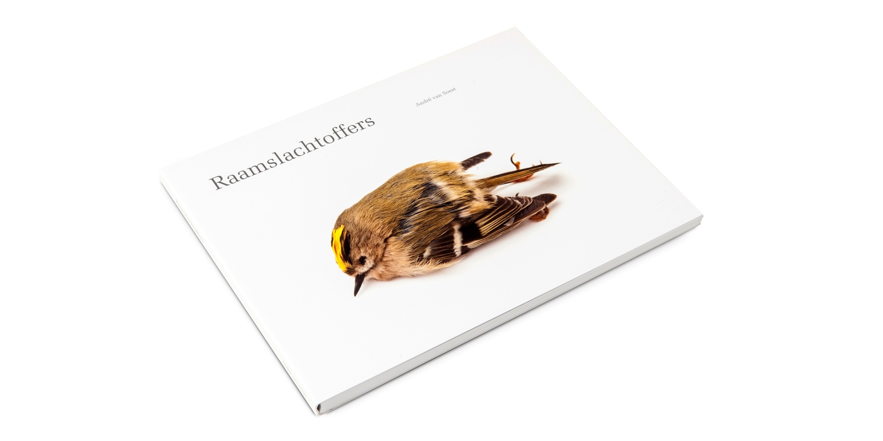 omslag raamslachtoffers_255_2-1.jpg omslag raamslachtoffers_255_2-1.jpg